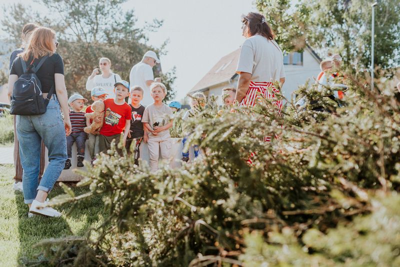 Programa educativo escuelas conservación ambiental