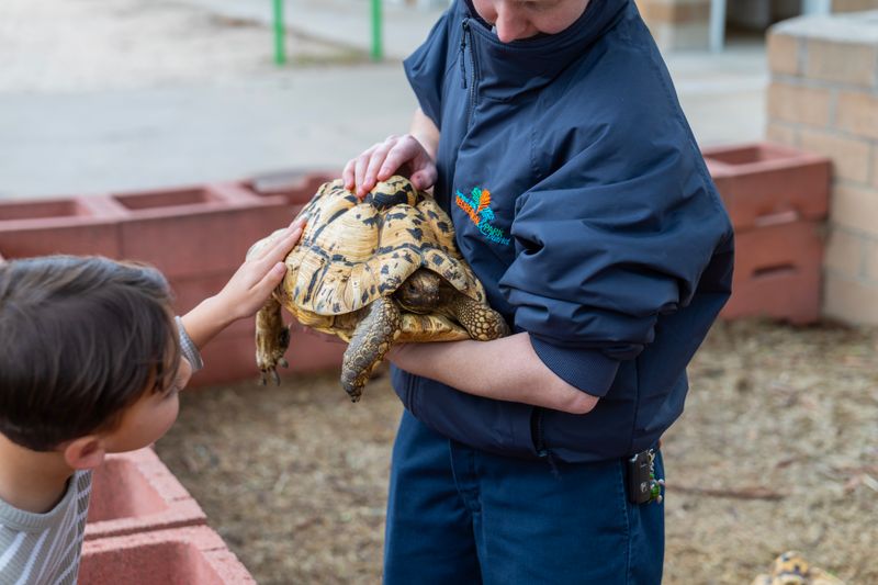 Programa educativo familiar Loro Parque niños